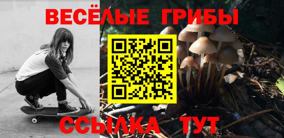 Псилоцибиновые грибы Psilocybe  Вход с VPN  Карпинск 